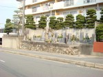 DSC00905.JPEG