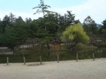 DSC00946.JPEG