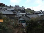 DSC01082.JPEG
