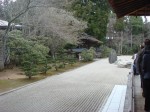 DSC01097.JPEG