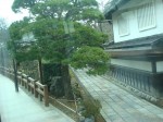 DSC01108.JPEG