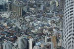DSC00726.JPG