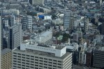 DSC00727.JPG