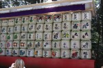 DSC00742.JPG