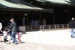 DSC00755.JPG