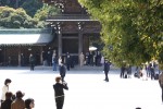 DSC00775.JPG