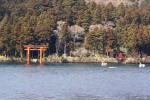 DSC00952.JPG