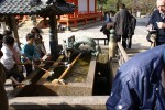 DSC01064.JPG