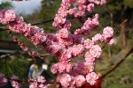 DSC01112.JPG