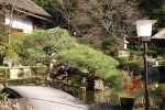 DSC01114.JPG