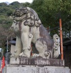 DSC01133.JPG