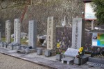 DSC01140.JPG