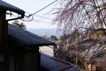 DSC01151.JPG