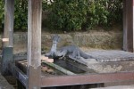 DSC01363.JPG