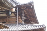 DSC01369.JPG