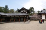 DSC01371.JPG