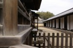 DSC01380.JPG