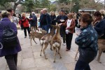 DSC01391.JPG