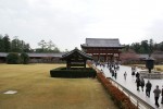 Filename=DSC01427.JPG
Filesize=459KB
Dimensions=2592x1735
Date added=Sep 10, 2009 DSC01427.JPG