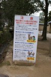 Filename=DSC01428.JPG
Filesize=447KB
Dimensions=1301x1944
Date added=Sep 10, 2009 DSC01428.JPG
