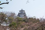 DSC01461.JPG