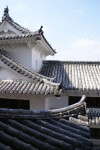 Filename=DSC01481.JPG
Filesize=279KB
Dimensions=1301x1944
Date added=Sep 10, 2009 DSC01481.JPG