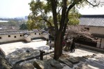 DSC01491.JPG