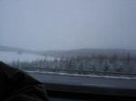 DSC05603.jpg
