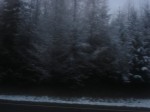 DSC05604.jpg