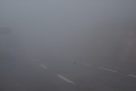 DSC02071.jpg